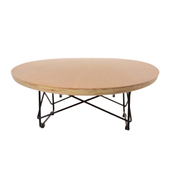 Mesa de Centro Eames Wire Eliptcal